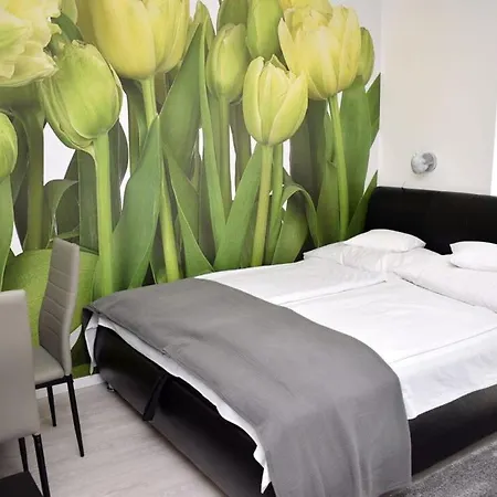 Trendi Apartamento